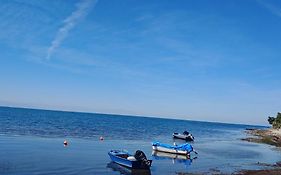 Hedonist Near The Sea